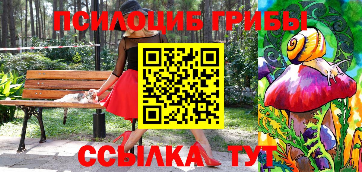Галлюциногенные грибы Psilocybe Шахты